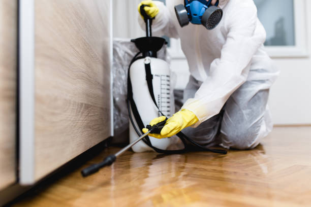 Best Pest Prevention Services  in Palmdale, CA