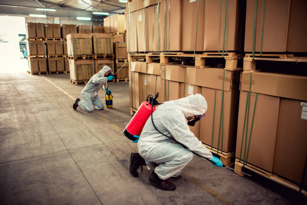 Best Best Pest Control Companies  in Palmdale, CA