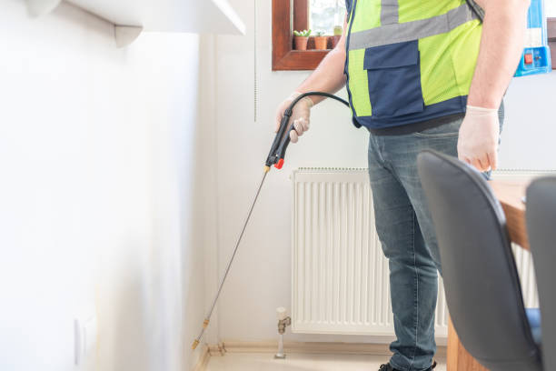 Wasp Removal Services in Palmdale, CA