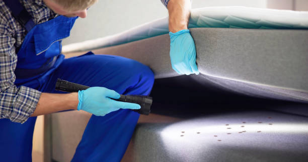 Best Flea Control Services  in Palmdale, CA