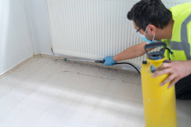 Palmdale, CA Pest Control Company